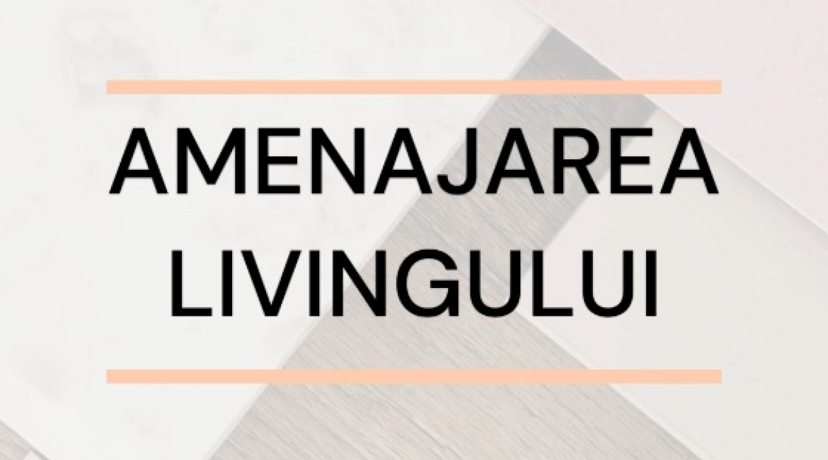 Episodul 7 - Amenajarea livingului